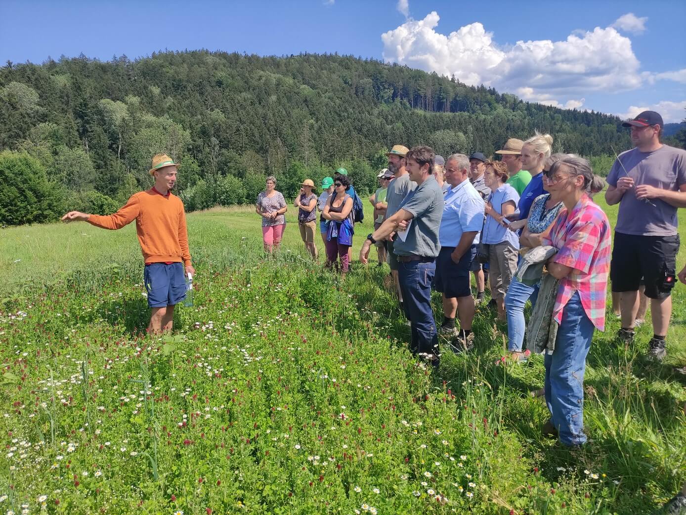 Bauernhofspaziergang durch die grünen Wiesen mit Andreas Badinger – Käserei Woerle